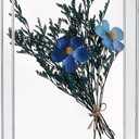 6x8 Shadow Box Frame, Acrylic Photo Picture Frame, DIY Tabletop Display Case, All Clear Memory Box for Dried Flowers/Kids Room/Birthday/Wedding/Party/Shop Decor (1.1 Interior Depth)