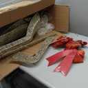 winemana 5ft Reindeer Christmas Outdoor Decorations, Set of 3 Extra Large Deer Yard Decor- Lighted 3D Reindeer Family Set for Outside Lawn Garden Xmas Holiday Party Decor (Gold)