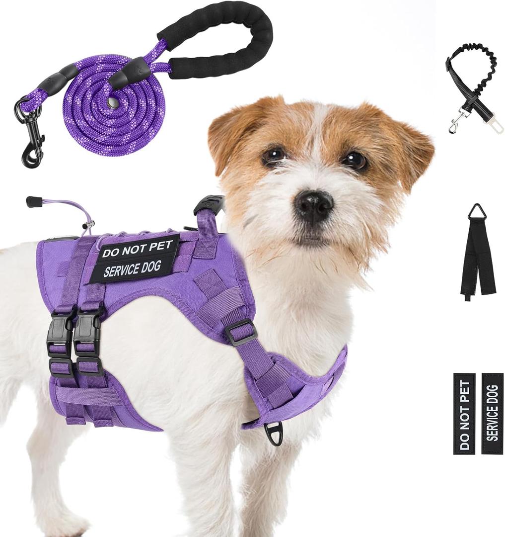 No Pull Tactical Dog Harness for Small Dogs, Escape Proof Molle Dog Vest Harness and Leash Set, Adjustable Military Service Dog Harness with Handle (Purple, Small)