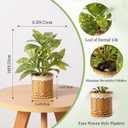 Nubry Fake Plants Artificial Potted Plants with Weaved Pot for Shelf & Table Desk | Perfect for Home Office Bathroom Farmhouse Room Coffee Table Decor 10‘’