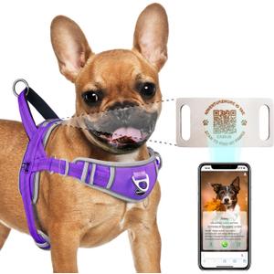 ADVENTUREMORE Dog Harness Small Dog No Pull with QR Code Dog Tag, Adjustable Reflective Dog Vest Escape Proof Dog Harness Smart ID Tag with Easy Control Front Clip Handle for Walking S Purple