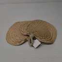 Natural Raffia Tropical Hand Fans