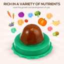 POPETPOP Cat Candy Snacks 5-Pack Lickable Catnip Treat Balls for Cats - Indoor Wall-Mounted Catnip Lollipops Promoting Hydration Urinary & Oral Health - Random Flavors