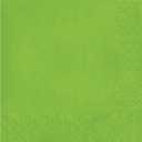 Creative Converting Touch of Color 2-Ply 50 Count Paper Lunch Napkins, Fresh Lime, 2 Pack