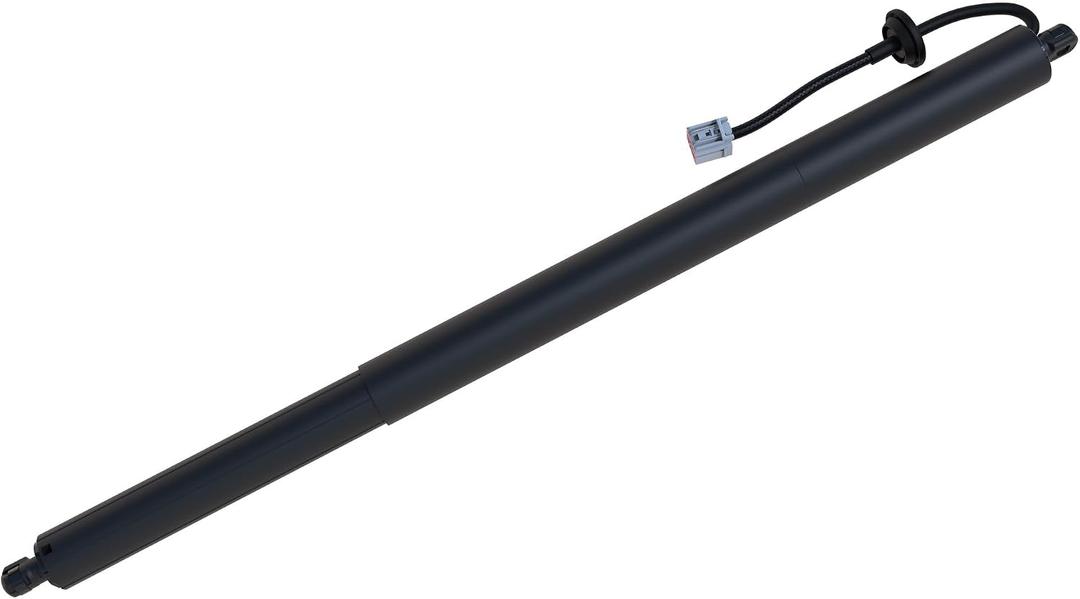 Liftgate Lift Support 300724
