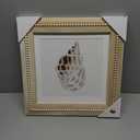 New View Coastal Wall Art Featuring a Seashell Print in a Wooden Frame.