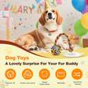 Interactive Dog Toys to Keep Them Busy, Tug of War, Dog Enrichment Toys for Aggressive Chewers, Puppy Teething Toys,Durable Rope & Chew Ball, Indoor Toys Small DogsRainbow (Classic)