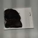 Halo Hair Extensions Real Human Hair Invisible Wire Extensions with Transparent Fish Line Wavy Curly Halo Clip in Human Hairpieces Dark Brown 12 Inch