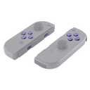 eXtremeRate Green Purple Chameleon Glossy Replacement ABXY Direction Keys SR SL L R ZR ZL Trigger Buttons and Springs, Full Set Buttons with Tools for Nintendo Switch Joycon & Switch OLED Joy con