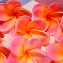 20pcs Pink Orange Color PU Real Touch Lifelike Artificial Hawaiian Plumeria Frangipani Flower Detachable Flower Stems Wedding Home Party Decoration