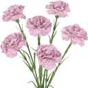 IPOPU Purple Carnations Artificial Flowers,6PCS Real Touch Faux Flowers 20'' Artificial Silk Carnations with Stems for Wedding Bouquet Party Table Centerpieces Home Decor (Purple)