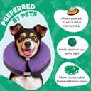 BENCMATE Inflatable Dog Cone Collar Alternative, Soft Dog Cone forDogs and Cats, Neck Recovery ECollar Donut Collar After Surgery (Large+, Purple)