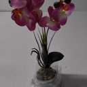 Jusdreen 1 Pcs Glass Vase Artificial Orchid Flower Bonsai Vivid Phalaenopsis Flowers Potting for Home Office Dcor, Table Centerpiece Room Decorations 14.5"(Glass Vase/Purple Orchid) (Glass-purple)