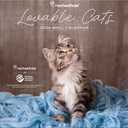 Turner Licensing, Rachael Hale Loveable Cats 2026 Wall Calendar