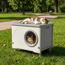 Plastic Outdoor Cat House, Extra Large Insulated Feral Cat Shelter Outside with Escape Door & Elevated Feet, Waterproof Weatherproof Cat Cave for Stray Cats Small Pets, Gray