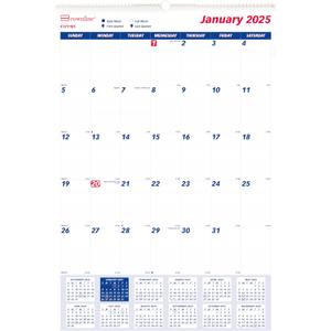 Brownline 2025 Monthly Wall Calendar, 12 Months, January to December, Twin-Wire Binding, 20" x 30" (C171105-25)