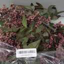 Zeyune 3 Pcs Artificial Dusty Plum Berry Stem Spring Faux Flowers Picks Branches Fake Realistic Sedum Stem Spray for Wedding Holiday Seasonal Farmhouse Mantel Harvest DIY Home Decorations(35 Inch)