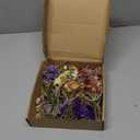 12/24 Pack Dried Flowers for Vase Various Mini Bouquet Dried Small Wildflowers Natural Real Flowers Bulk for Crafts DIY Wedding Decor (24, Forget Me Not)