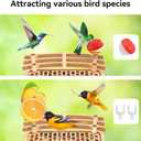 AiQInu Solar Powered Bird Feeder with Camera, 4K QHD Live Video, AI Bird Recognition, Auto Recording, Outdoor Waterproof Bird Watching Camera, Live Stream Bird House for Bird Lovers Gift