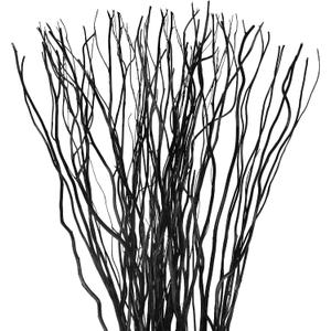 Xinnun 50 Pcs Curly Willow Branches Decorative Dried Willow Vase Filler Tree Branches for Artificial Twigs Sticks for DIY Crafts Home Decor(Black,15.75 Inch)
