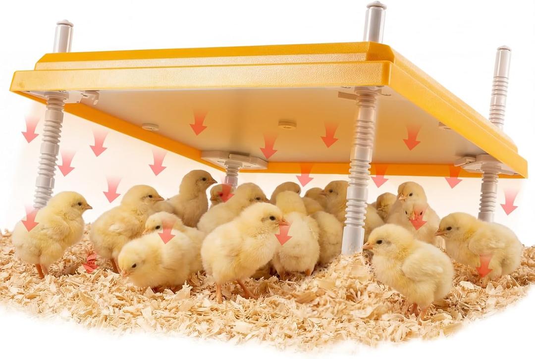 Riakrum Large Chick Brooder Heating Plate 16" x 16" Brooder Heater for 50 Chicks with Adjustable Height Poultry Heating Plate Constant Temperature 131F Safe Heat Lamp for Ducklings and Quail (15.7" x 15.7", Yellow)