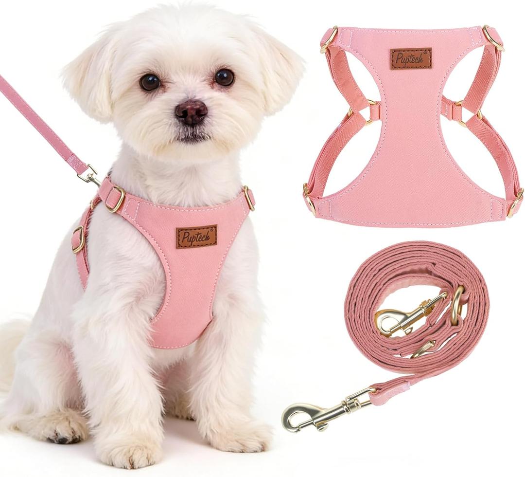 PUPTECK Dog Harness and Leash Set Small Sized, Lightweight Step-in Puppy Harness, Escape Proof No Pull Cute Pet Vest Harnesses, Pink XXS (XXS: Chest Girth 9.5"-11.5")