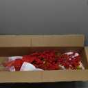 Artificial Money Fortune Tree -19.7inch, 2026 Spring Festival Lunar New Year Fortune Tree with Wealth Coins, Ingot, Fu, Knot for Asian Chinese Japan Vietnamese Horse New Year Decorations