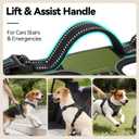 PHOEPET No Pull Dog Harness with Handle Front & Back Clip, Easy on Lockable Snap Buckle at Neck, Adjustable Reflective Vest with Handle for Small Medium Large Dogs (XL, Misty Green)