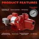 RJS-100-PREM Premium Cast Iron Shallow Well Jet Pump | 1 HP, 23 GPM, 115/230 Volt, for Home, Agriculture, Irrigation, 602208, Red