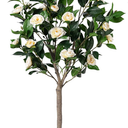 Artificial Camellia Tree 5ft, Indoor Fake Plant with Realistic Trunk, Leaves,White Flowers and White Planter, Faux Potted Tree for Home Decor and Housewarming Gift