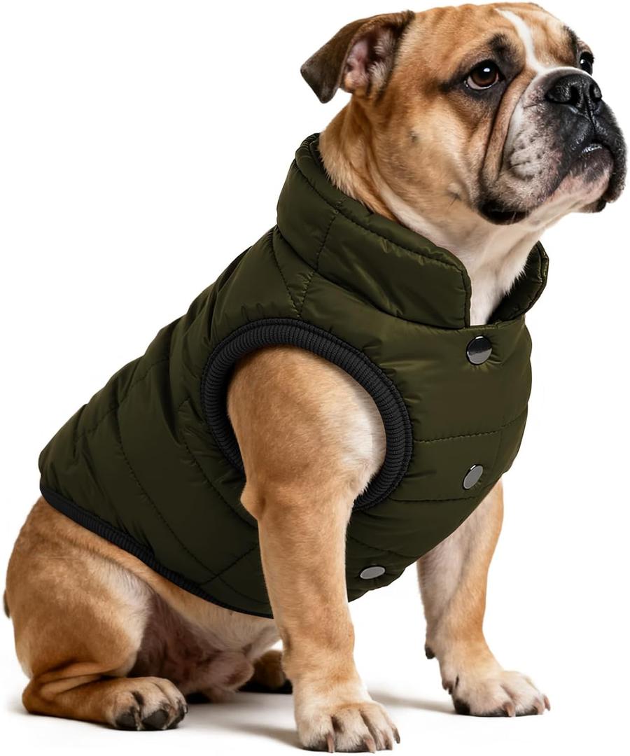 AURUZA Dog Winter Coat, Warm Waterproof Dogs Jacket Small Pet Vest for Medium Dogs Windproof Pet Fleece Vest Snow Jacket for Cold Weather (Army Green, XL)