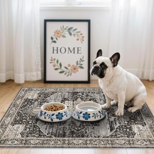 RUUGME Washable 2x3 Area Rugs - Large Boho Rugs for Living Room Stain Resistant Carpet Vintage Tribal Rugs for Bedroom Kitchen Bathroom with Non Slip Backing Home Decor Floor Decoration Mat 2x3 Black