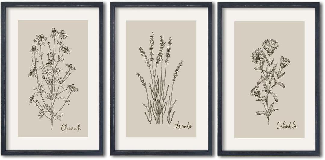 TQianJiang Set Of 3 Framed Vintage Botanical Prints Wall Art 16"11" Wildflower Pictures Wall Decor for Bedroom Bathroom Living Room Minimalist Line Drawing Neutral Tones Wall Hanging (Black)