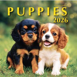 2026 Puppies Hangable Wall Calendar Cute Funny Dog Photo Gifts Puppy Dogs Photography Large Full Page 16 Months for Organizing & Planning Gift for Her (2026 Puppies)
