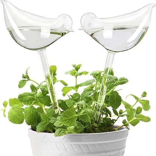 KiKiHeim Plant Watering Globes Self Watering Planter Insert Spikes Drip Devices, Clear Glass Automatic Water Bulbs for Outdoor&Indoor Plants, 2 Birds