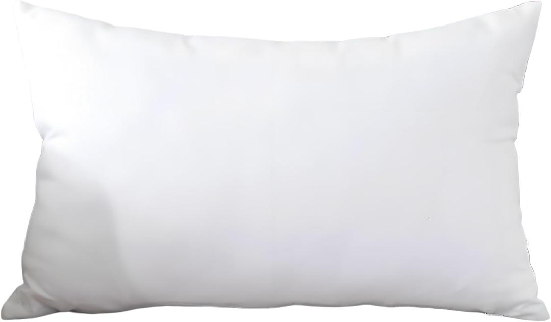 TAOSON Decorative 100% Cotton Canvas Square Solid Toss Pillowcase Cushion Cover Pillow Case with Hidden Zipper Closure Only Cover No Insert - White 12"x20"(30x50cm) (12"x20"(30x50cm), White)