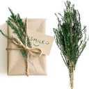 Dried Greenery Stem Decor