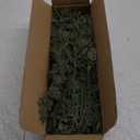 Watayo 60 Pcs Christmas Artificial Pine Branches with Red Berry Stems, 10.5" Faux Evergreen Norfolk Pine Cypress Leaves Stems, Fake Foliage Pine Needles Picks for DIY Craft Garland Home Decor