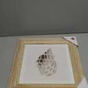 Vintage Scallop Shell New View Coastal Wall Art featuring a seashell print in a wooden frame.