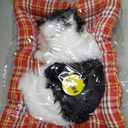 Lovely Simulation Animal Doll Plush Cat Toy with Sound Kids Toy Decorations Stuffed Toys Black & White