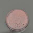 L'Oreal Paris Infallible Blur-fection Longwear Loose Setting Powder, Blurring Face Powder With Up to 24HRs of Wear, Brightening Light Pink, 1 Kit (0.21 Ounce (Pack of 1))