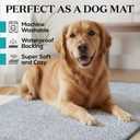 Premium Microfiber Indoor Door Mat 36"x60" Washable Entry Mat, Non-Slip, Waterproof Backing, Super Absorbent, Low Profile Entryway Doormat for Indoor Entrance