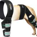 Dog Knee Brace for Torn ACL Hind Leg, ACL Brace for Dogs Rear Leg, with Side Stabilizers Strong Support to Reduce Joint Pain and Muscle Sore for Back Leg