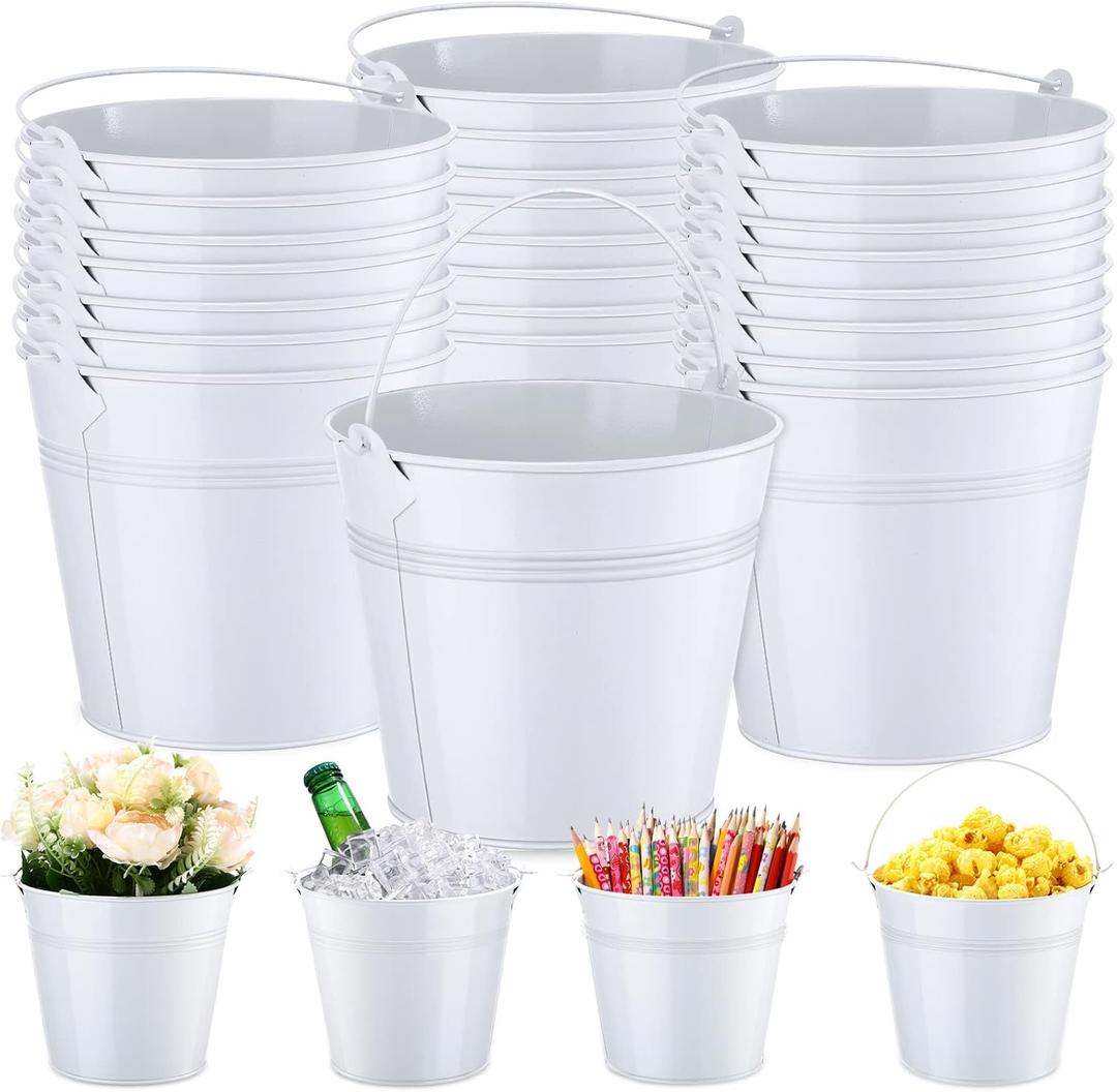 Rtteri 24 Pcs Small Metal Buckets with Handle Mini Buckets Bulk Pencil Bucket for Classroom Graduation Party Favors Iron Basket Pails for Candy Flower, 6 x 5 Inch(White)