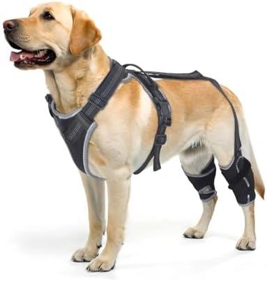 ELEGX Dog Knee Brace for Torn ACL & Hind Leg Support with Side Stabilizers– Adjustable Dog Hip & Leg Brace with Handle for Cruciate Ligament, Arthritis Relief, Joint Stability & Injury Recovery, L