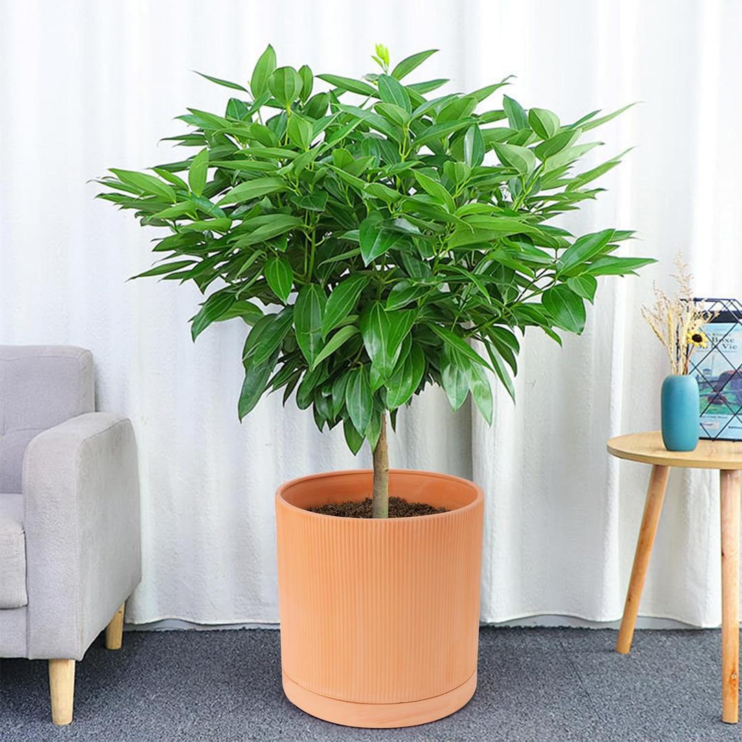Lovely Ran 1pc Large Terracotta Pots Terracotta Plant Pot with Drainage Hole Flowerpot for Indoor Plants with Tray Outdoor Garden Planters, Modern Decorative for Home