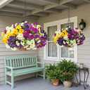 2 Set Artificial Outdoor Flowers with Hanging Baskets,24 Pcs UV Resistant Faux Petunias Flowers with Hanging Planter for Front Door Porch Spring Outside Decor (2, White,Yellow,Purple,RedViolet)
