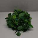 mizii 2 Strands Artificial Scindaps Vines Garland 73" Fake Vine with Silk Green Leaves Faux Evergreen Hanging Plants Greenery Decoration for Party Wedding Bedroom Home Wall Room Decor (Scindapsus)