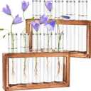 2pcs Desktop Glass Plant Propagation Station with 10 Test Tubes in Wooden Stand - Hydroponic Plants Cutting Office Home Decoration and Garden Decor Terrarium (10 Tubes)