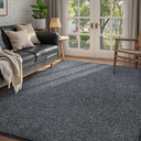 FinRèc 4x6 Washable Area Rugs for Bedroom Living Room, Low Pile Thin Rug Solid Color, Non-Slip Carpet Indoor for Home Decor (Grey)